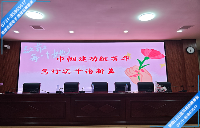 衡陽(yáng)白沙洲工業(yè)園某學(xué)校報(bào)告廳LED顯示屏.jpg